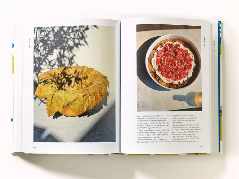 Salt of the Earth Cookbook - Secrets and Stories from a Greek Kitchen by Carolina Doriti. Buy cookbooks online in Australia.