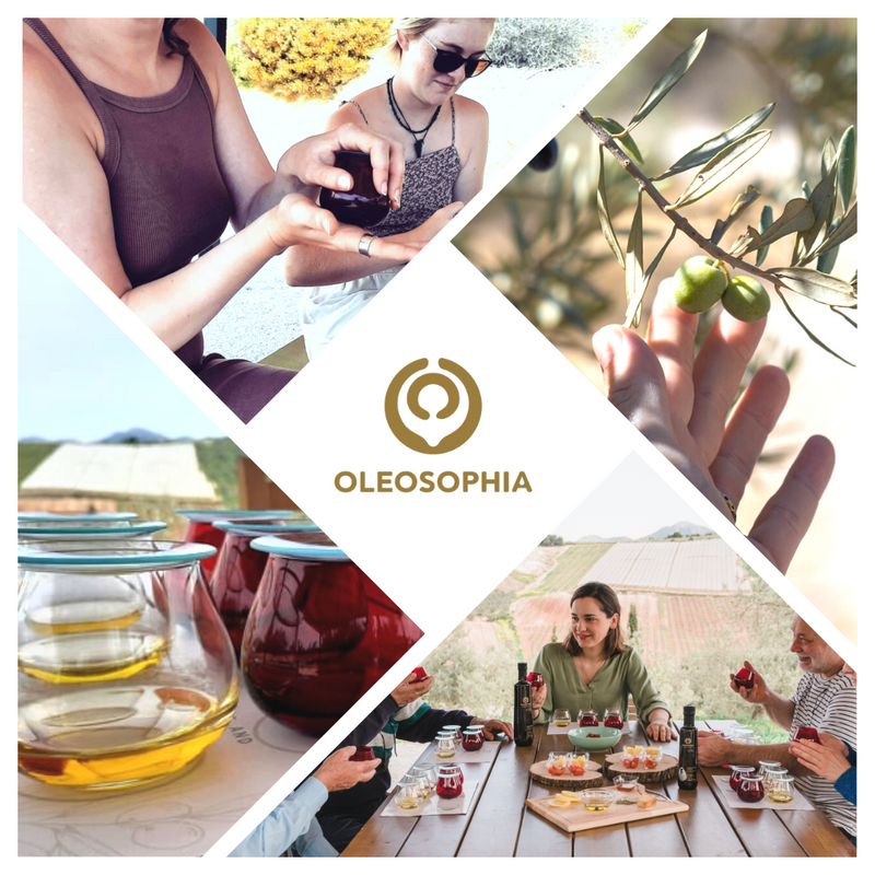 Manaki Greek olive oil is a rare and unique olive variety that is very rich in antioxidants and polyphenols. Oleosophia's early harvest 100% Manaki monovarietal olive oil offers mild flavours and is very well-balanced. Buy Greek olive oil online for delivery anywhere in Australia.