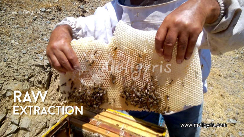 Greek Raw Honey – Cretan Oak and Chestnut Honey Meligyris GRECIAN PURVEYOR