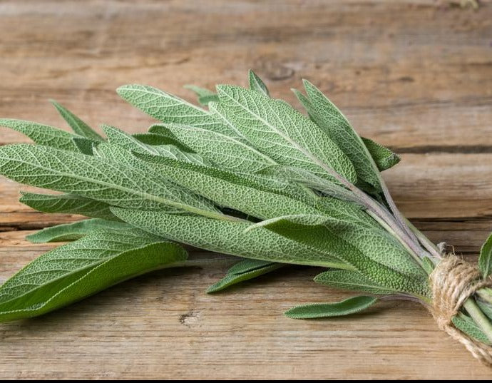 Organic dry sage from the mountains of Greece. The best dried sage in Australia by gourmet grocer Grecian Purveyor. herbal sage tea and dried sage for cooking..