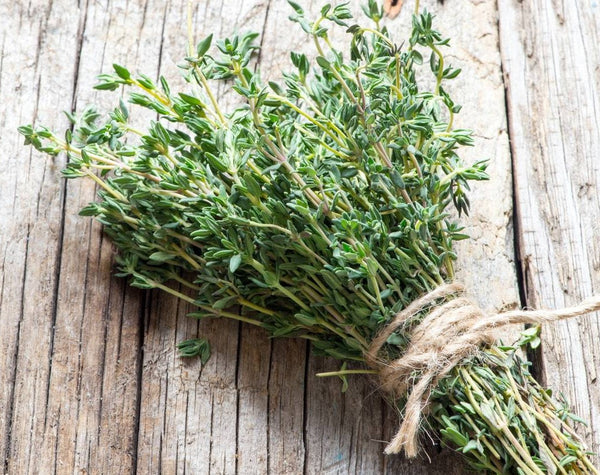 Organic dry thyme from the mountains of Greece. The best dried thyme in Australia by gourmet grocer Grecian Purveyor. herbal thyme tea and dried thyme for cooking..