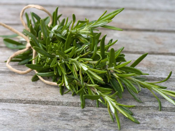 Organic Greek Rosemary - Dried Rosemary Leaves from Greece.The highest quality and best dry herbs in Australia by gourmet grocer Grecian Purveyor. Free delivery. Buy online now.